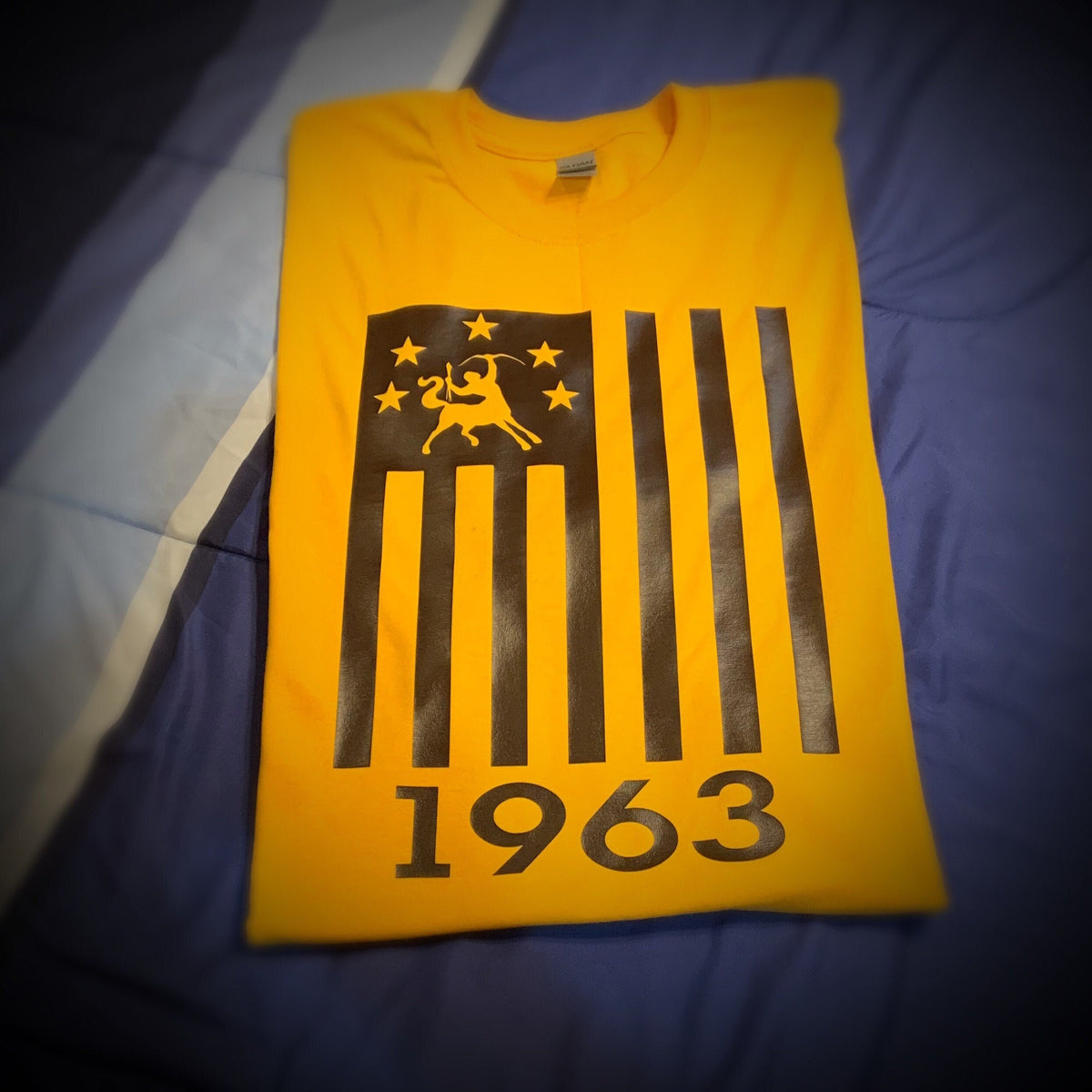 IOTA (Iota Phi Theta) Flag - T-Shirt