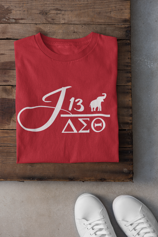 Greek - Delta Sigma Theta J13 v2 Shirt - 550strong