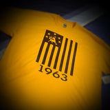 Greek - IOTA T-Shirt- Flag One - 550strong